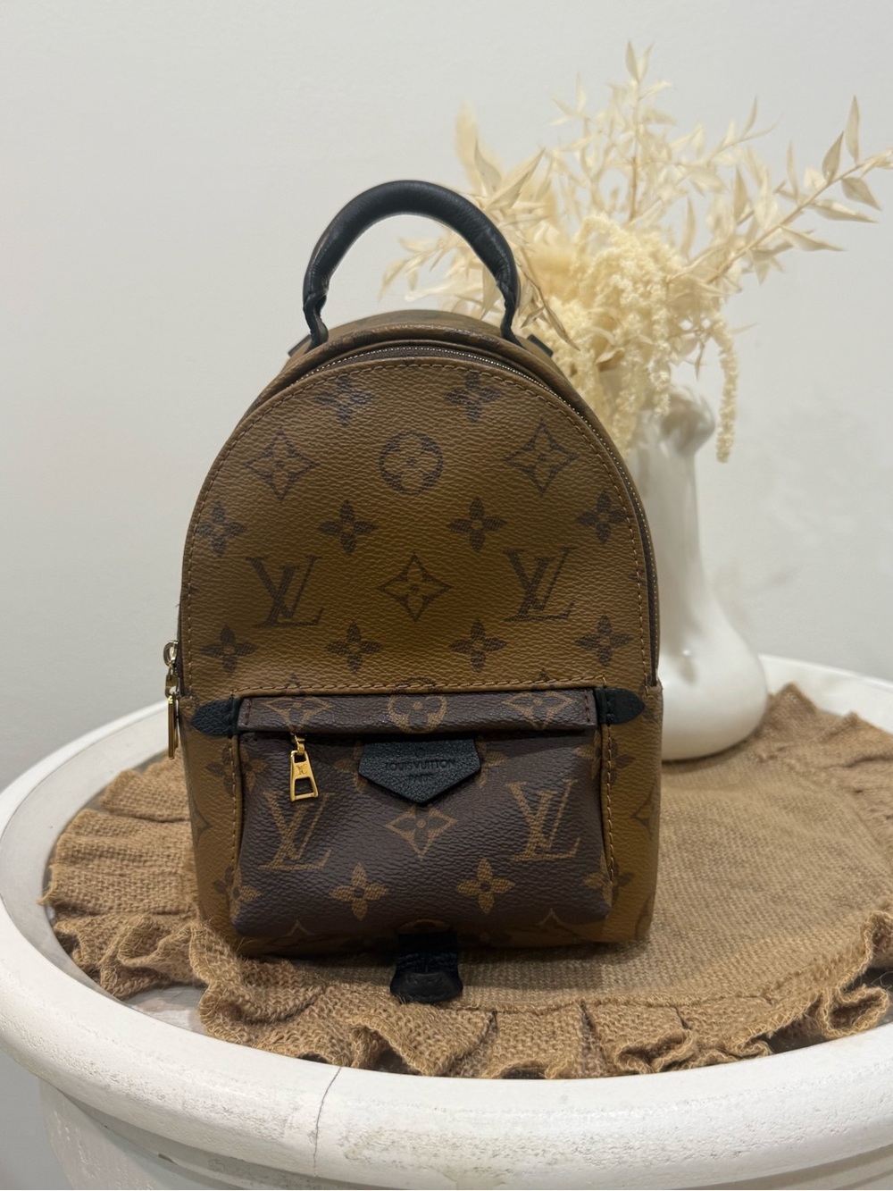 Louis Vuitton Palm Springs Mini Backpack